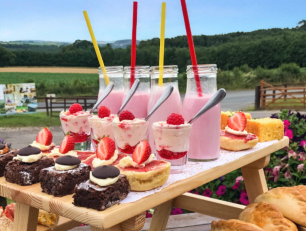 Afternoon Picnics Strawberry Fields Farm Shop
